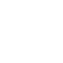 AAN logo