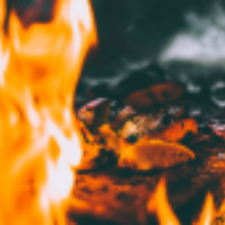 BBQ logo