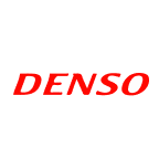 DNZOY logo