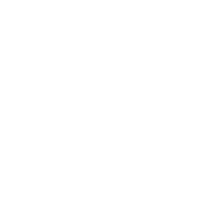 ICVX logo