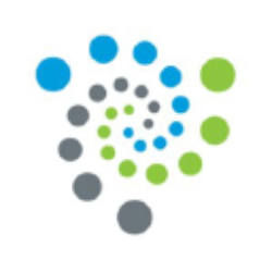 IIN logo