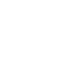 IRBT logo