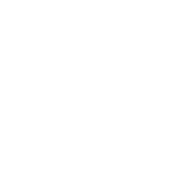 NBSE logo
