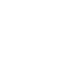 SFE logo