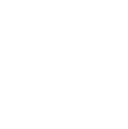 STT logo