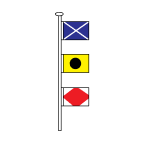 TNP logo