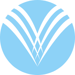 VAPO logo
